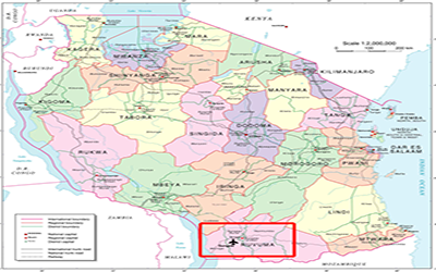快訊｜坦桑尼亞松蓋阿機場迎來了泰豪人的身影！